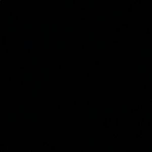 Meet your Posher, Samuel